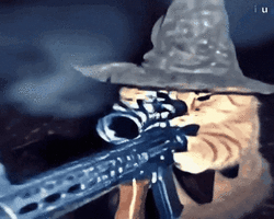 GIF_20241104_134532_675.gif