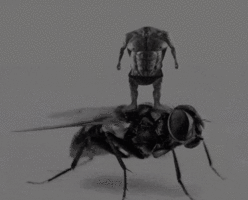 1733357073689n.gif