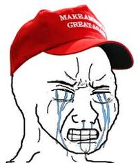 Shareblue sample 26-8-2017 (rename before posting).jpg