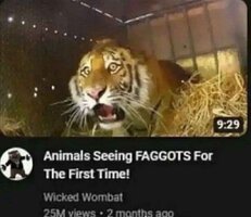 1718611196487071-1.jpg