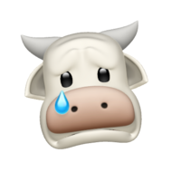 1733860172384.png