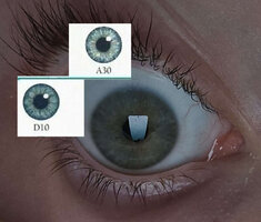 eyes.jpg