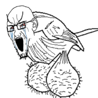 IMG_8835.png
