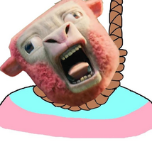 IMG_0132.png