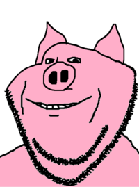 2CC651A4-F649-4B10-9F33-1DF19DB68BD1.png