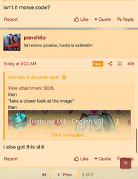 IMG_0336.jpeg