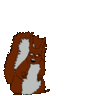 Im Fucking Nuts