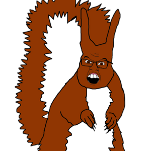 squirrel .png