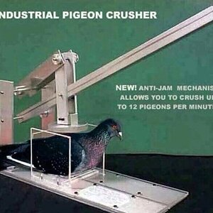 PigeonCrusher.jpg