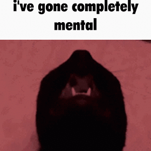 MentalCat.gif