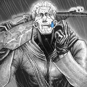 The indigo elder