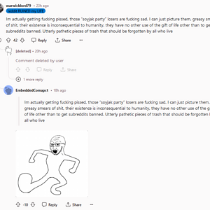 Seething_redditor_BTFO_by_a_soyquote.png