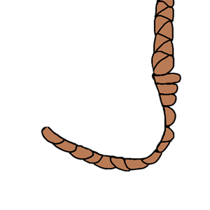 rope.