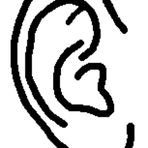 ear.