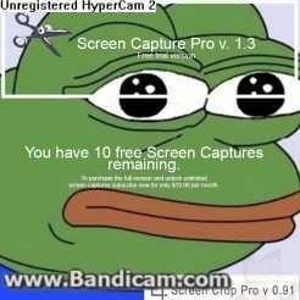 1733930426419a.png