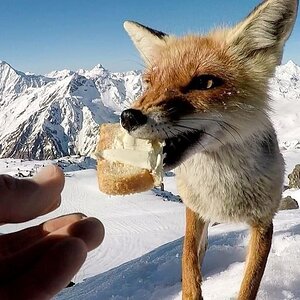 lunch.jpg