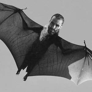 Giga bat
