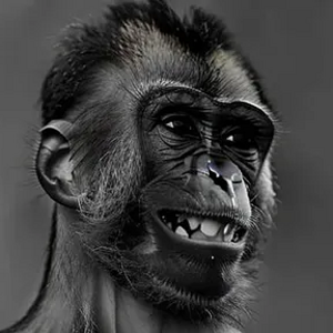 Giga monkey