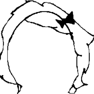 01blankhair.png