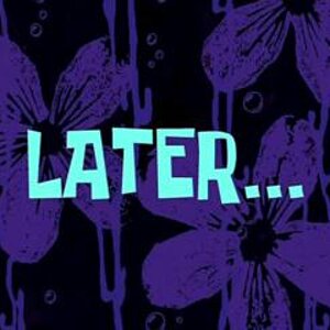 01 - later2.jpg