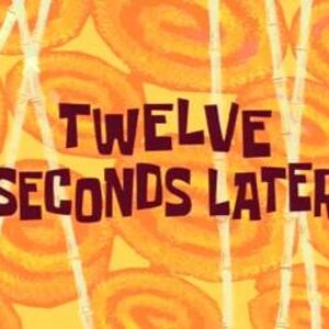 02 - 12 seconds.jpg