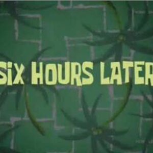 04 - 6 hours2.jpg