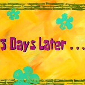 05 - 3 days.jpg