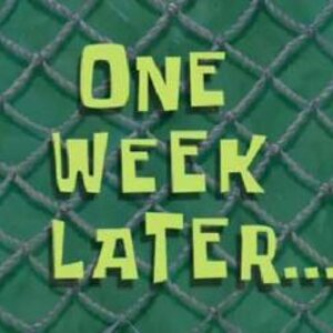 06 - 1 week.jpg