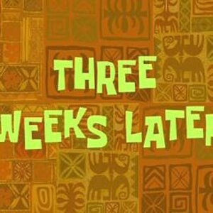 06 - 3 weeks.jpg