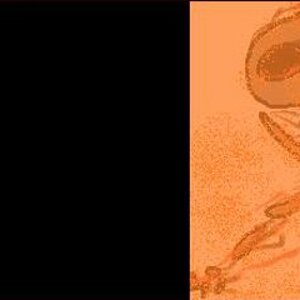 inglip_burning skeleton.jpg
