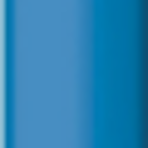 bic blue.png