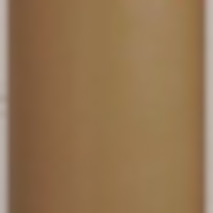 bic brown.png