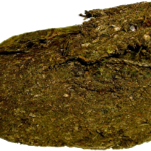 bud brick.png