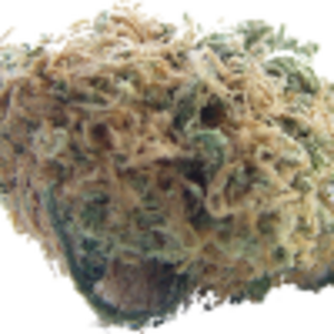 bud orange.png