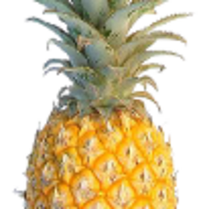pineapple.png