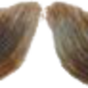face_mustache.png
