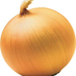 ing_onion.png