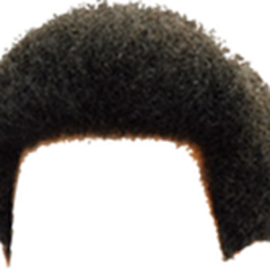 hair_afro.png