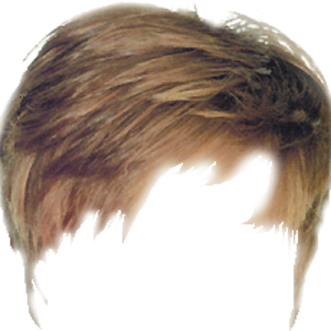 hair_bieber.png