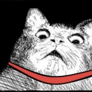 gaspcat.png