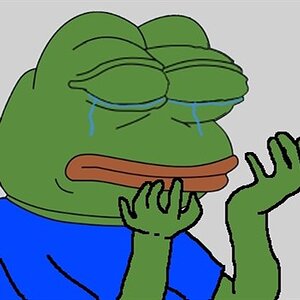 339 - crying pepe regretful.jpg
