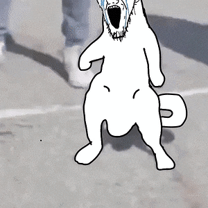 Soycat dancing