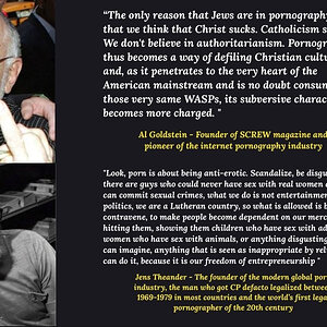 Quotes from Porn Activists