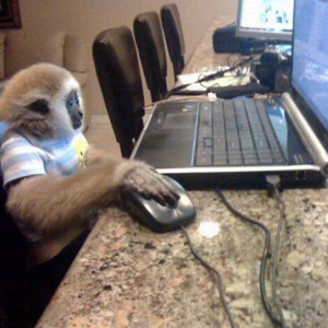 macaco computer