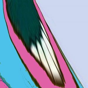 1710286434116-0.png