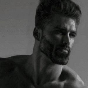 e10e395d14606f572a02997873aaf68845094c3b.gif