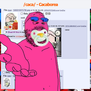 babydollcacaborea.png