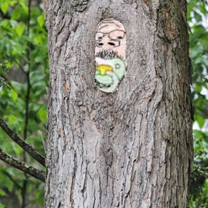 babyinatree.png