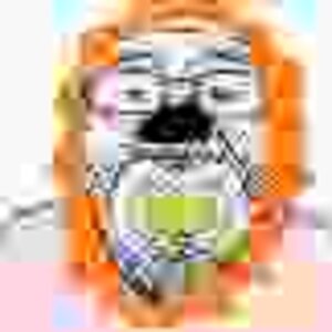 raor.jpg