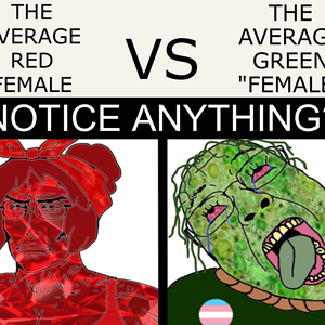 raryan womaryan.png